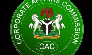 CAC to publicly disclose company owners&#039; profiles -Garba Abubakar