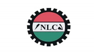 The Rivers state council of the Nigeria Labour Congress has joined in criticizing the statement credited to the Nigeria Governors forum over their inability to sustain the current national minimum wage for workers.
